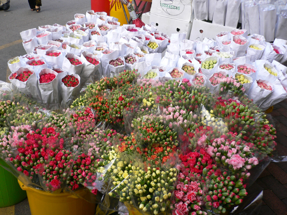 The Flower Market And Bird Market Prince Edward Kowloon Hong Kong Hustle 