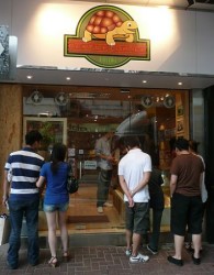 pet store Hong Kong Causeway Bay HK reptile corner turtle lizard snake shop