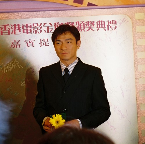 andy lau tak wah hk movie star actor film awards
